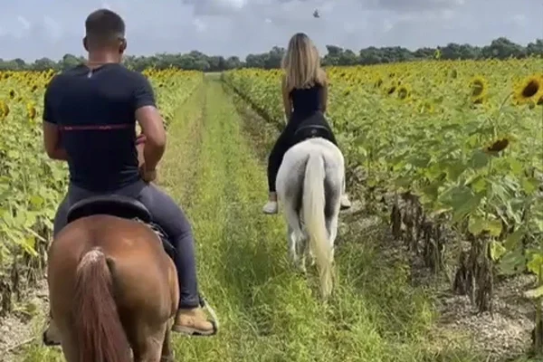 Horseback Riding 3